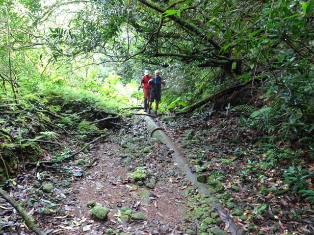 Suivre la canalisation jusqu'à la rivière avant de faire demi-tour