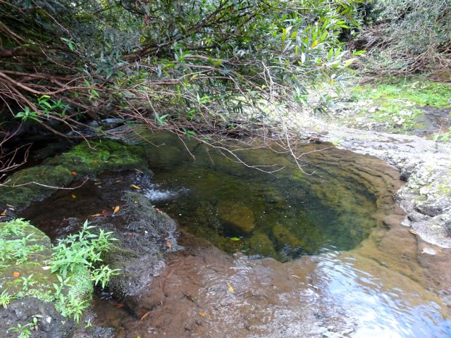 L'été, le bassin rafraichira en ôtant la boue sur les jambes !