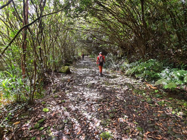 On retrouve la large piste ombragée pour le retour