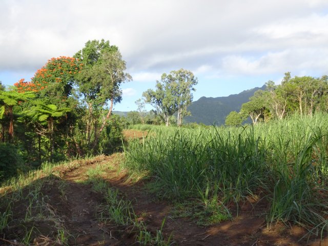 Très rares panoramas tout le long de cette sortie