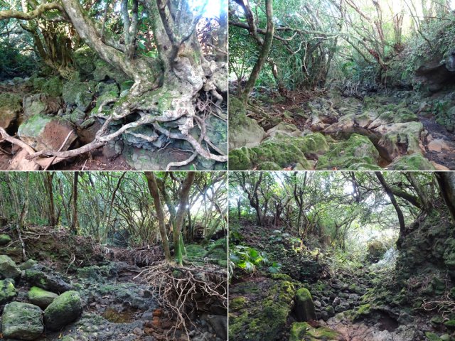 Ne pas hésiter à remonter ou descendre cette ravine au fond tourmenté