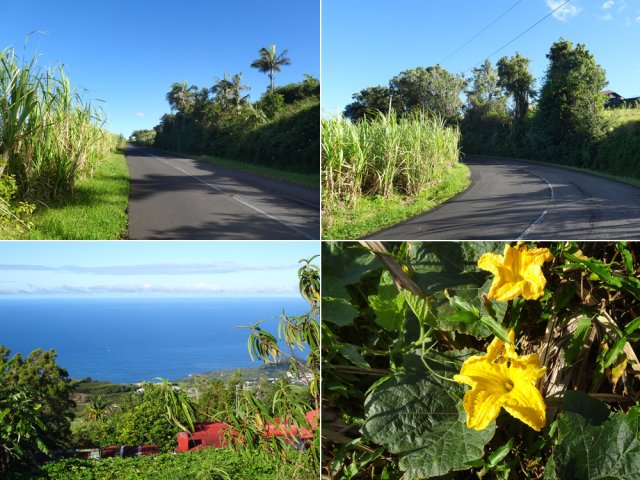 Quelques tronçons de la RD37 avec encore des cannes et des points de vue