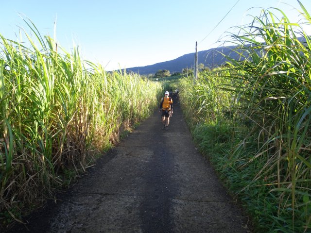 Beaucoup de petites routes étroites dans les cannes