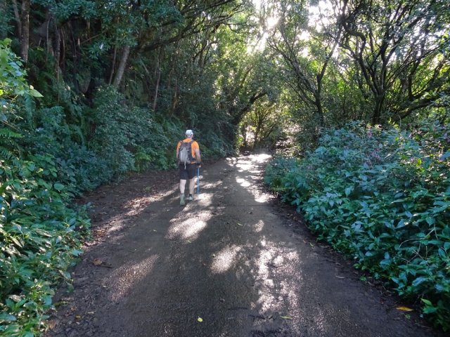 La Ravine de Bellerive traverse une zone boisée