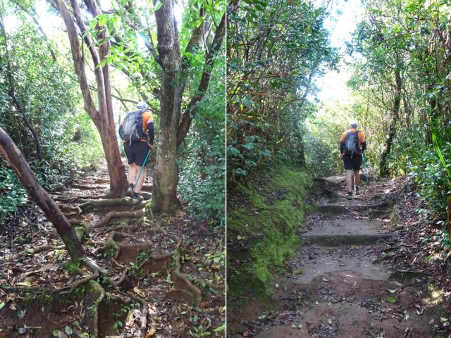Sentier parfois glissant, toujours bien entretenu