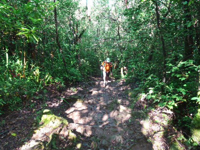 Le sentier Jacques Payet longeant la Vallée Heureuse grimpe assez fortement