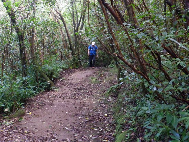 Certaines portions glissantes si elles sont humides