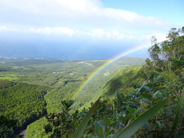La végétation gêne parfois les points de vue sur la Vallée Heureuse