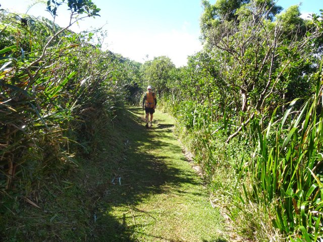La pelouse recouvre le sentier par endroits
