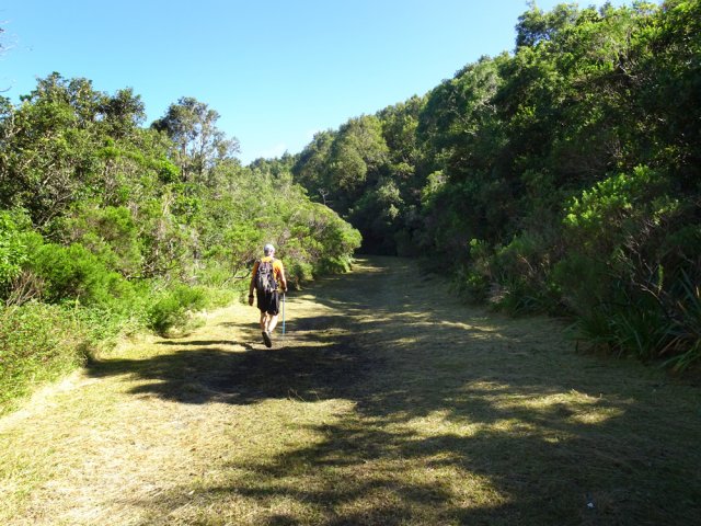 La piste des Onze Cents est un vrai plaisir pour étudier la végétation
