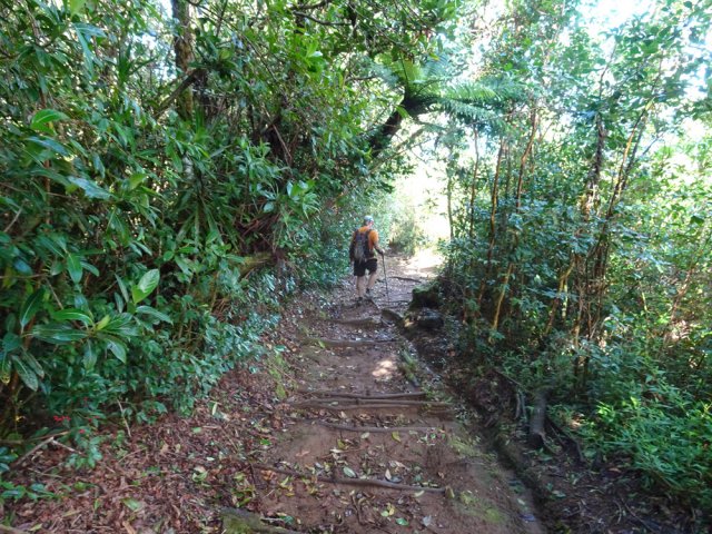 Longue descente rectiligne pour revenir vers Jacques Payet