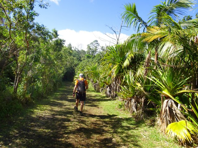 Nouvelle piste dans une superbe végétation