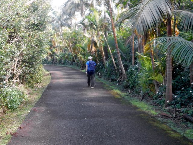 Les derniers hectomètres sont plus cultivés