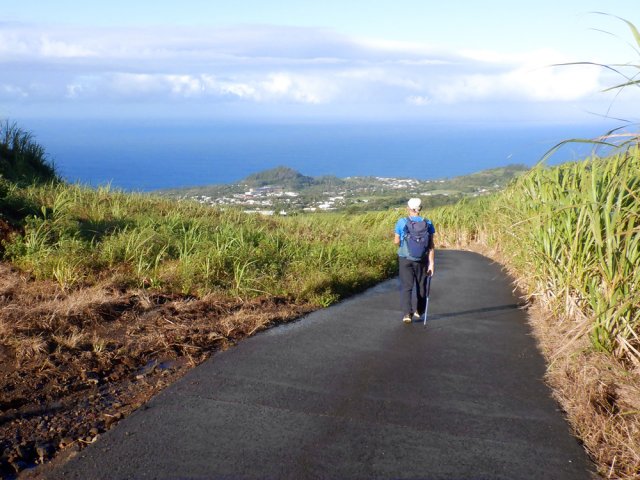 Il vaut mieux privilégier l'après coupe pour bénéficier de 100% de panoramas