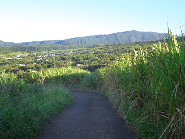 Vues sur le Piton de la Mare et Jean Petit