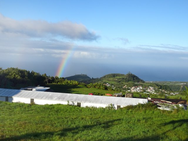 On profite toute la matinée du Piton Papangue et du Piton de Langevin