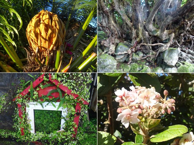 Et, comme toujours, des rencontres originales