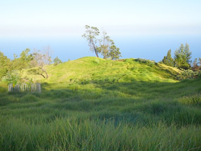 Les premières prairies dès le parking avec le soleil levant