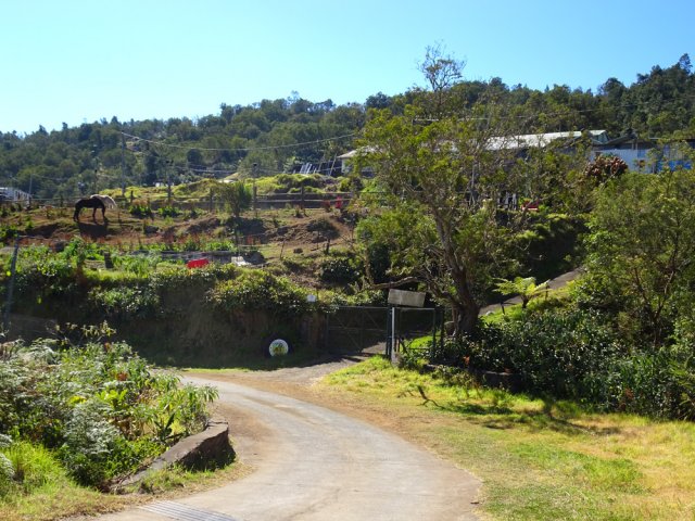 Les chevaux apprécient sans doute les températures à 1600 m d'altitude