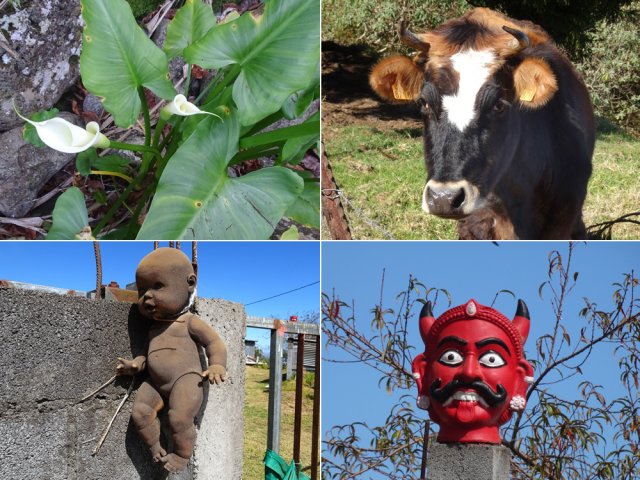 Comme toujours, d'agréables rencontres inattendues