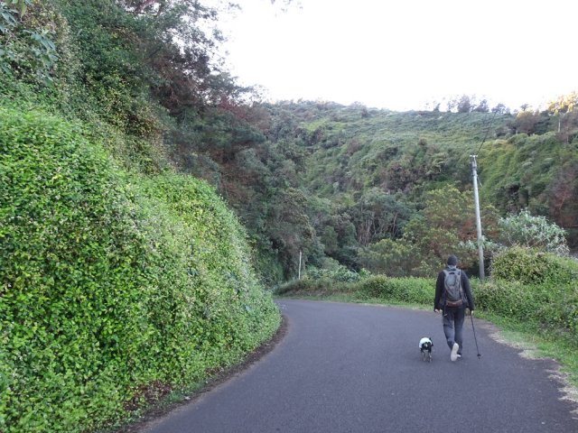 Traversées régulières de ravines