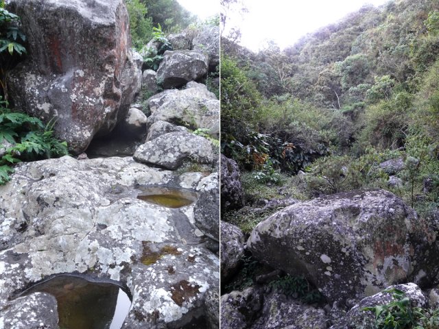 Ravine classique de la région en forte pente et très rocheuse