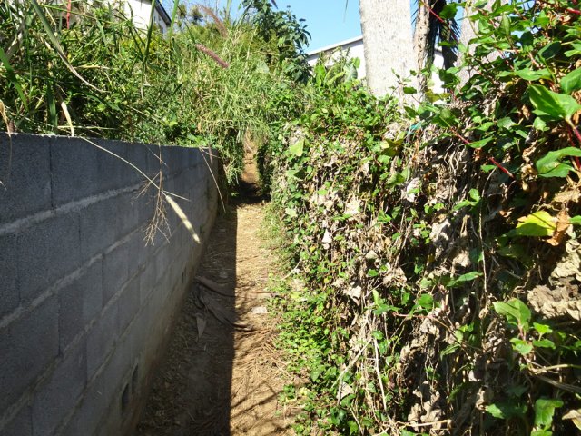 Le sentier entre des propriétés pour rejoindre le sentier de Deux Bras