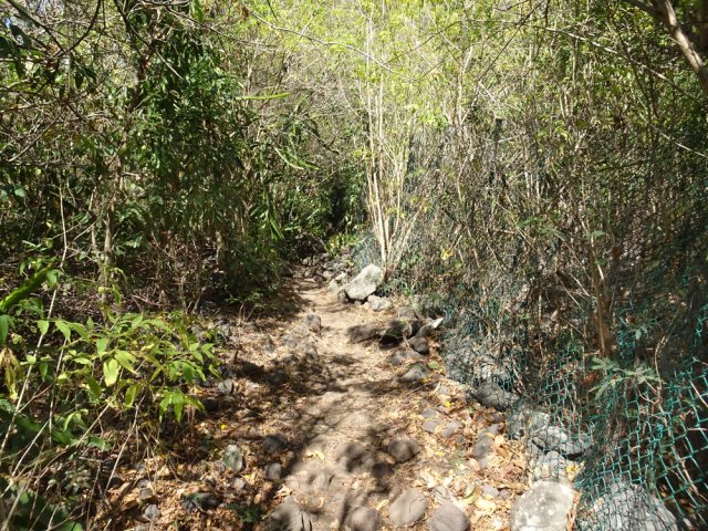 On longe ensuite les grillages de l'Îlet Albert