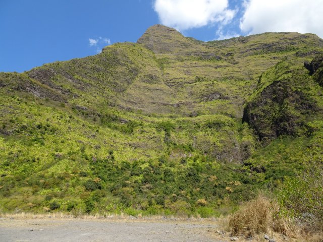 Points de vue sur l'Îlet Bois de Fer et Îlet Alcipe