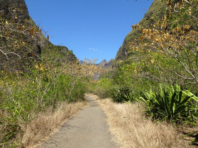 Nouvelle piste avant le dernier gué