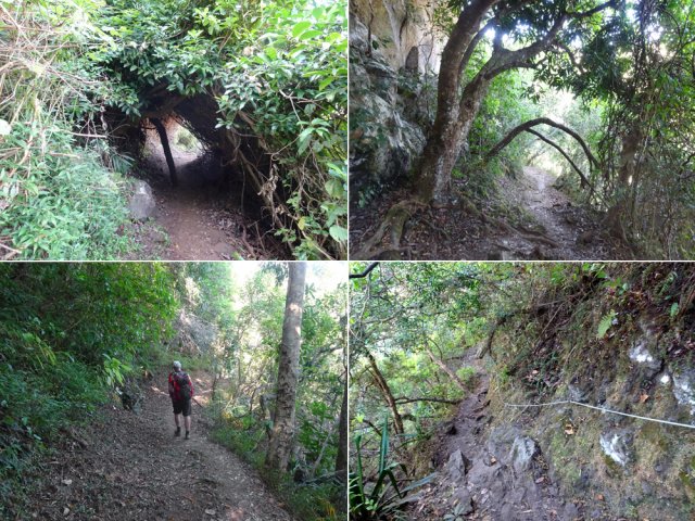 Le début de la descente est assez facile, sans grandes pentes