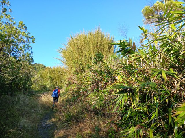 Début de la boucle sur le sentier de Bélouve
