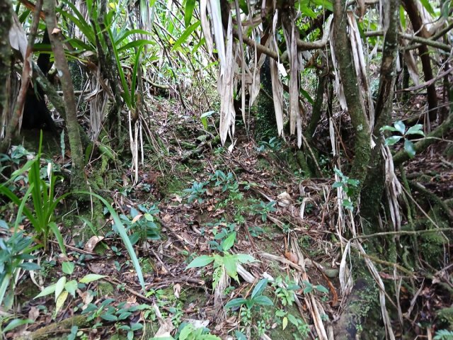 Passages bien marqués par endroits