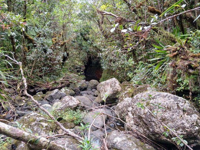 Traversée de la Grande Ravine