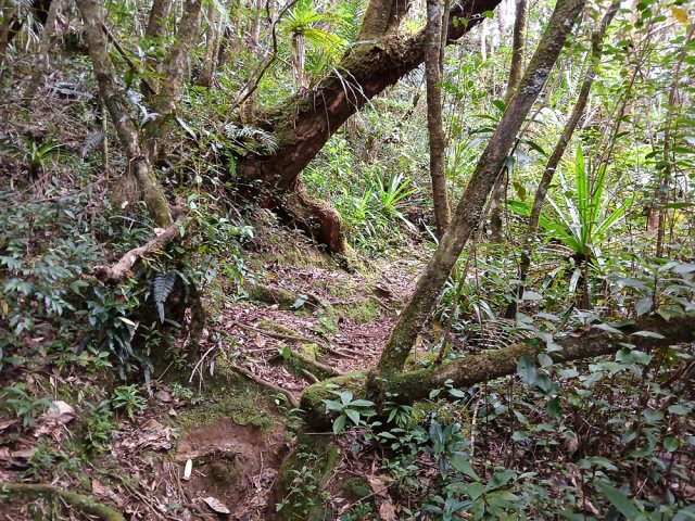 La boucle de l’Éden sur un sentier très bien entretenu