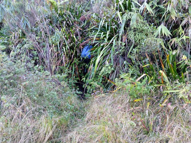 Départ discret dans les pailles sabres