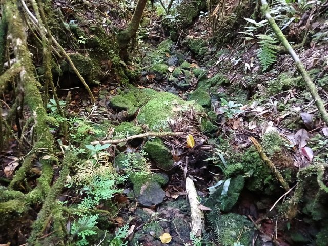 Descente assez aisée de cette courte portion de ru à sec