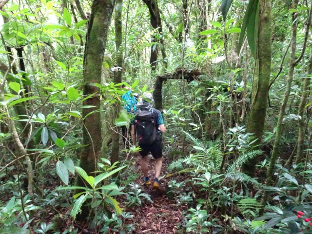 Sentier toujours visible en faible descente