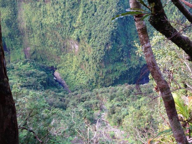Attention à la chute pour apercevoir la Rivière des Marsouins