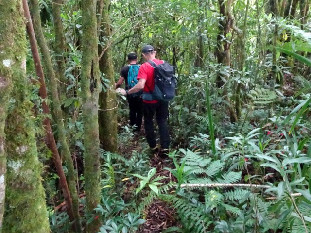 Aucune difficulté d'orientation