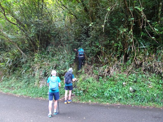 Au départ, l'étroit sentier escalade le haut fossé