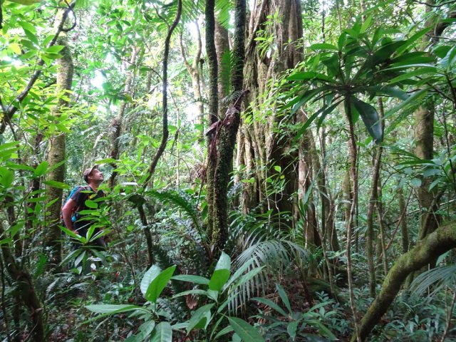 A partir de ce second figuier, le sentier devient plus difficile à suivre