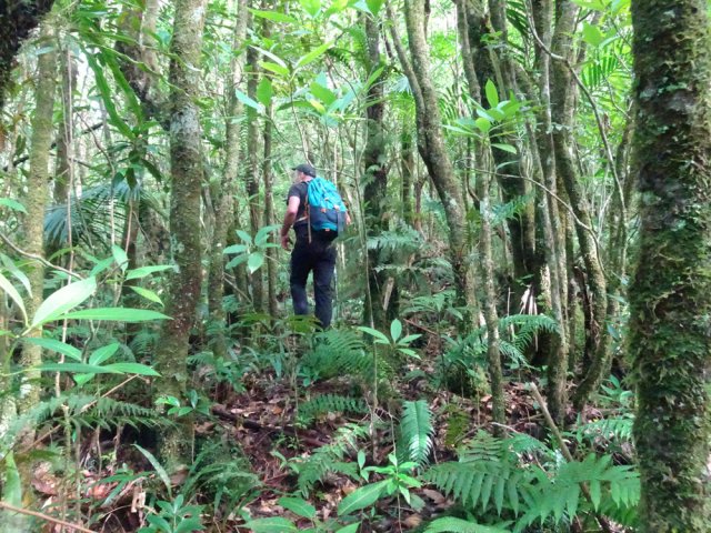 Légère remontée avant d'entreprendre la boucle de retour