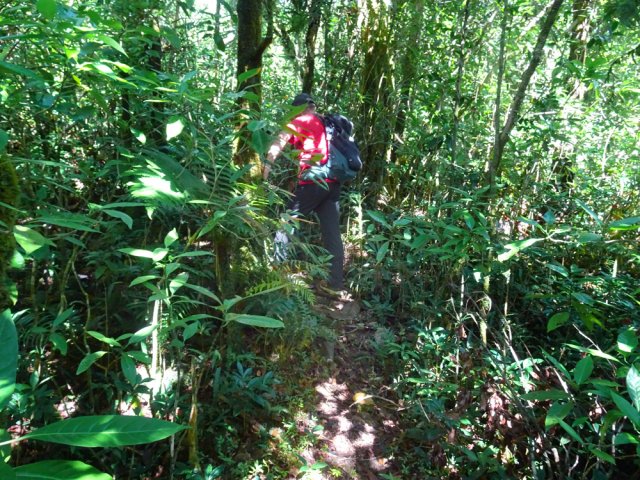 Le retour emprunte le même sentier à la fin de la petite boucle
