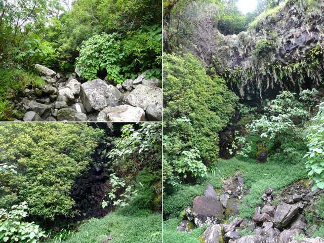 Descente au Bras Sec pour visiter un de ses affluents