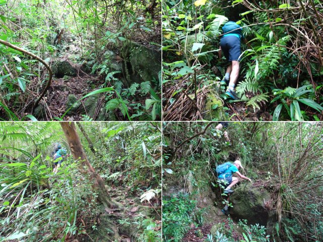 La grimpette est courte mais assez technique par endroits