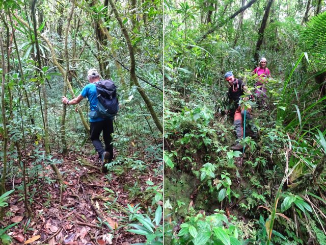 Courte mais très intense descente où les mains sont indispensables