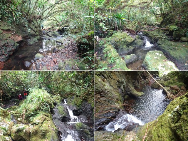 Suivre le lit très sauvage de la Grande Ravine vers la première cascade