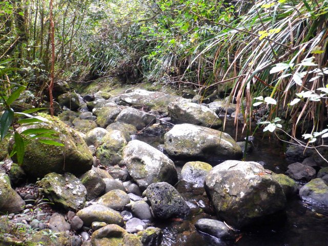 La remontée de la Grande Ravine est très glissante. Prendre son temps