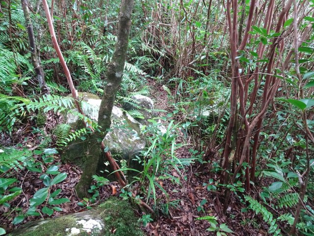 Trace toujours visible et parfois aisée